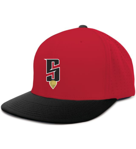 Houston Stingers Flexfit Performance Hat