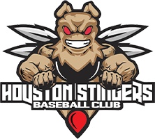 HOUSTON STINGERS