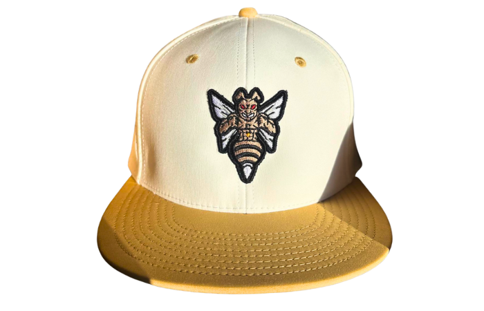 Houston Stingers Baseball Cap